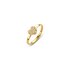 Casteur by Casteur ring in geel goud 18kt met briljant van 0,11 karaat - thumb