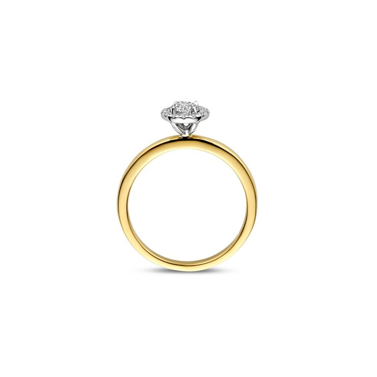 The Exclusive Collection verlovingsring in geel goud 18kt met briljant (ronde diamant) van 0,33 karaat als hoofdsteen omringd door briljanten van 0,08 karaat