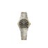 montre Ebel avec un boîtier en or jaune sur acier, un cadran gris avec brillant et un diamètre de 29 mm - thumb