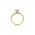 The Exclusive Collection verlovingsring in geel goud 18kt met briljant (ronde diamant) van 0,32 karaat als hoofdsteen omringd door briljanten van 0,09 karaat - thumb