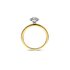 The Exclusive Collection verlovingsring in geel goud 18kt met briljant (ronde diamant) van 0,32 karaat als hoofdsteen omringd door briljanten van 0,09 karaat - thumb