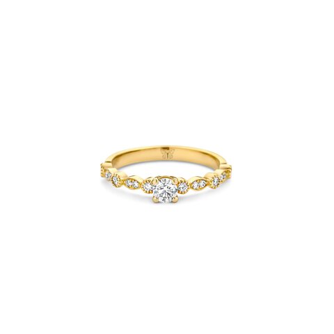 bague de fiançailles The Exclusive Collection en or jaune 18 ct avec brillant (diamant rond) de 0.25 carat comme pierre principale entouré de briljants de 0,19 karaat