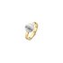Casteur by Casteur ring in geel en wit goud 18kt - thumb
