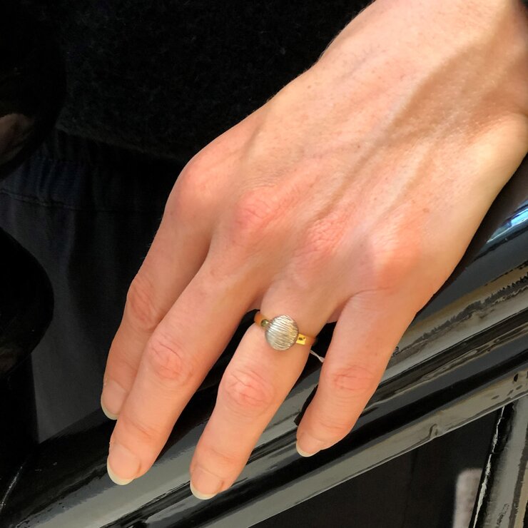 Casteur by Casteur ring in geel en wit goud 18kt