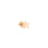 DoDo oorring in rosé goud 9kt - thumb