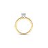 The Exclusive Collection verlovingsring in geel goud 18kt met briljant (ronde diamant) van 0,40 karaat als hoofdsteen omringd door briljanten van 0,22 karaat - thumb