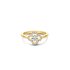 Casteur by Casteur ring in geel goud 18kt met briljant van 0,26 karaat als hoofdsteen omringd door briljanten van 0,15 karaat - thumb
