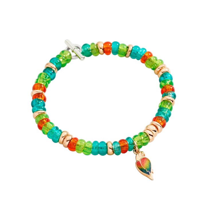 DoDo armband in zilver