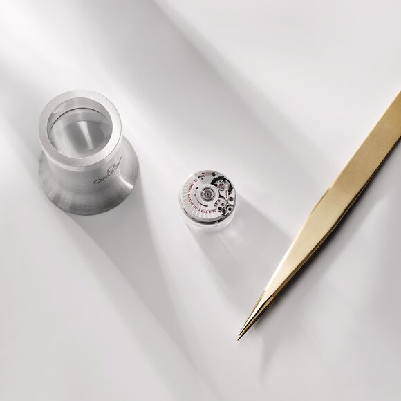 Omega_Campagne_Precision_AT30mm_Loupe_Brucelle_300dpi.jpg