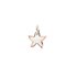 DoDo hanger in rosé goud 9kt en zilver - thumb