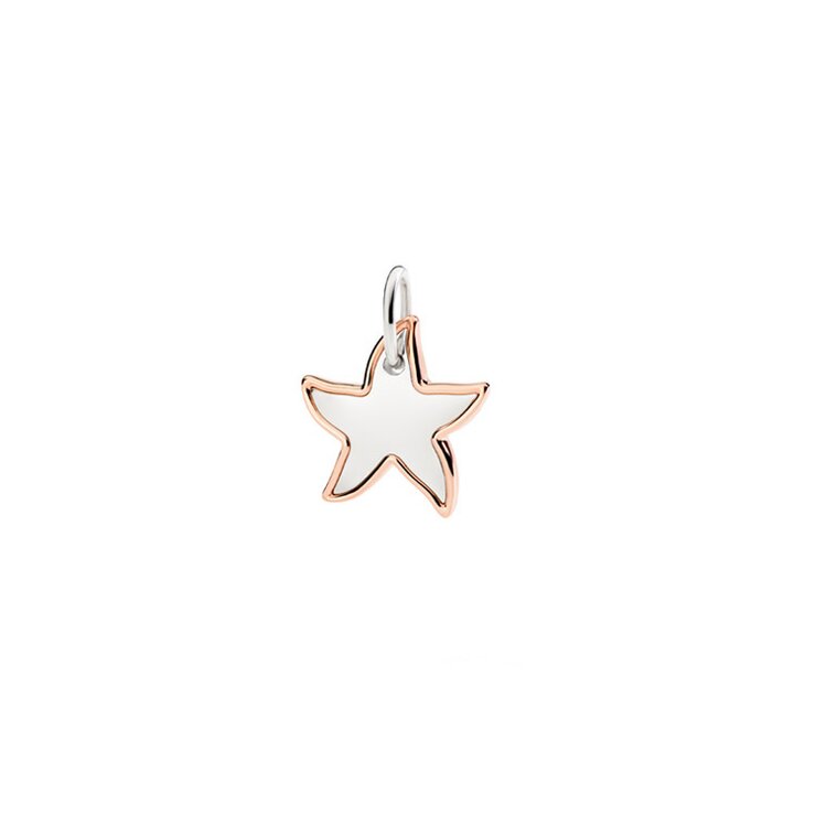 DoDo hanger in rosé goud 9kt en zilver