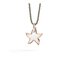 DoDo hanger in rosé goud 9kt en zilver - thumb