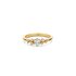 The Exclusive Collection verlovingsring in geel goud 18kt met briljant (ronde diamant) van 0,30 karaat als hoofdsteen omringd door briljanten van 0,13 karaat - thumb