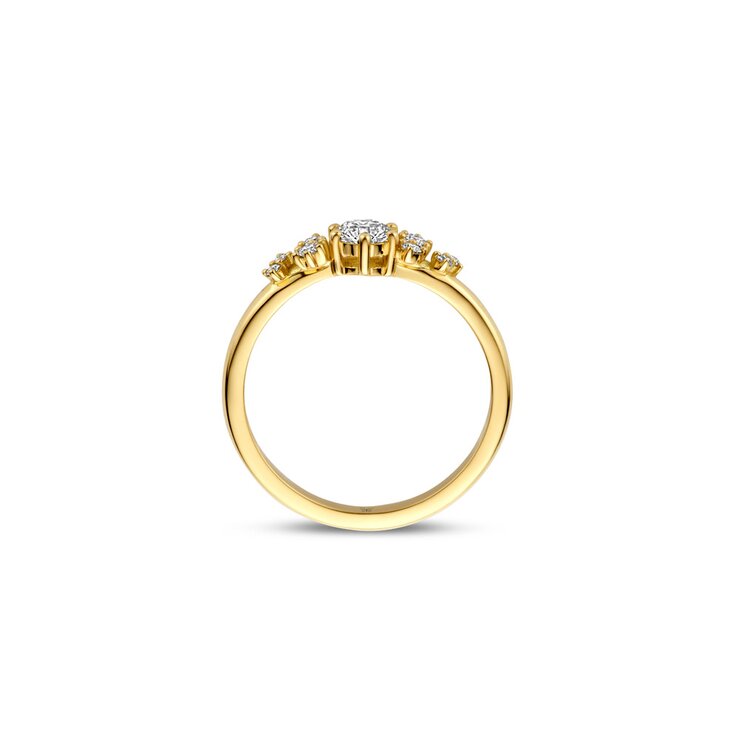 The Exclusive Collection verlovingsring in geel goud 18kt met briljant (ronde diamant) van 0,30 karaat als hoofdsteen omringd door briljanten van 0,13 karaat