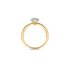 The Exclusive Collection verlovingsring in geel goud 18kt met briljant (ronde diamant) van 0,32 karaat als hoofdsteen omringd door briljanten van 0,21 karaat - thumb