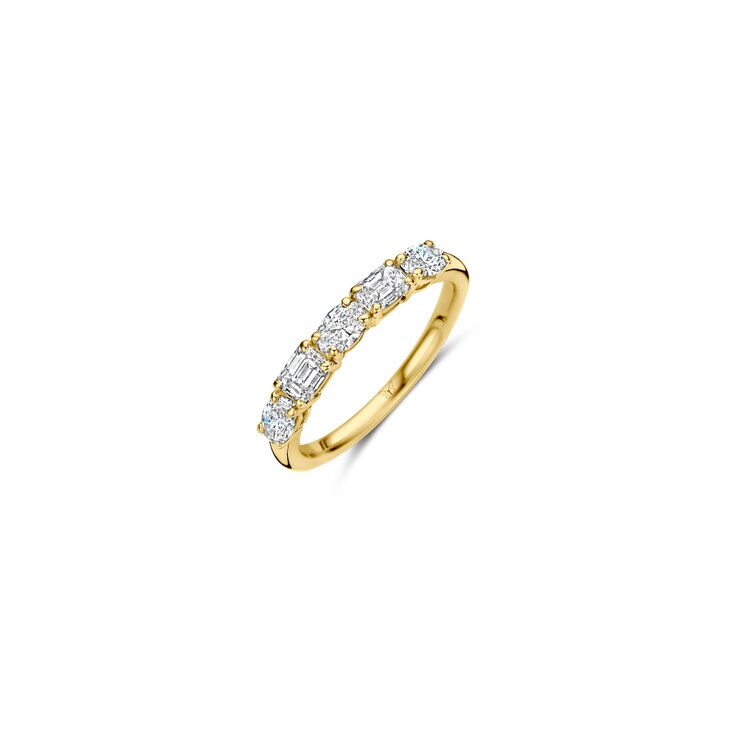 The Exclusive Collection en or blanc 18 ct avec brillant de 0.55 carat comme pierre principale entouré de briljants de 0,46 karaat