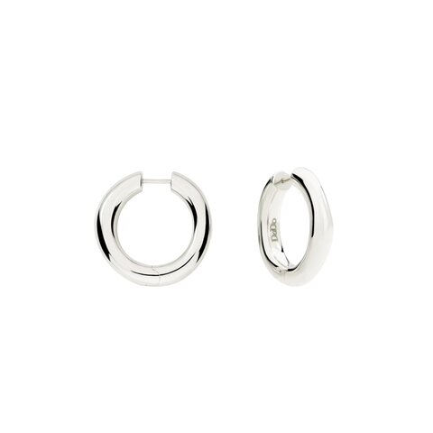 boucles d'oreilles DoDo en argent